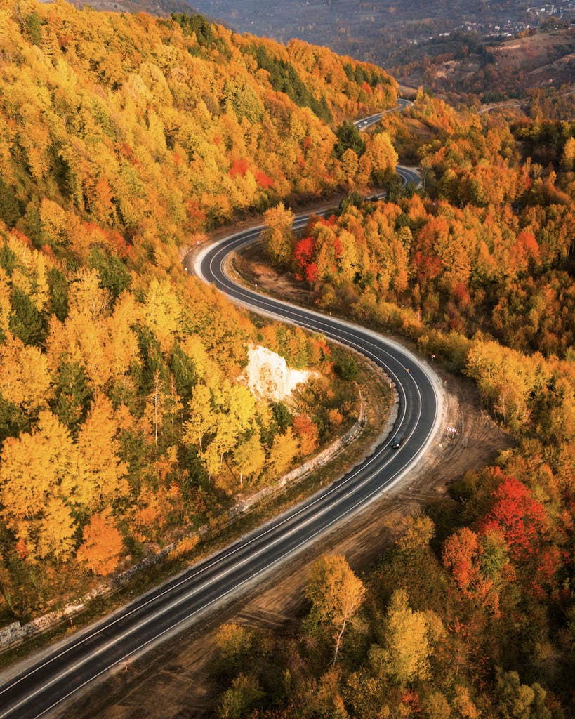 A scenic aerial view of a winding road through vibrant autumn foliage in a hilly forest landscape.